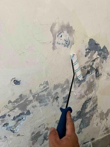 八達工程 - 壁癌處理