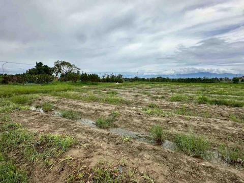 蔡承宏 - 農地清理後