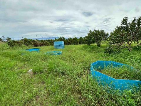 蔡承宏 - 除草前