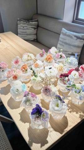 蘇芙勞兒 - 杯花