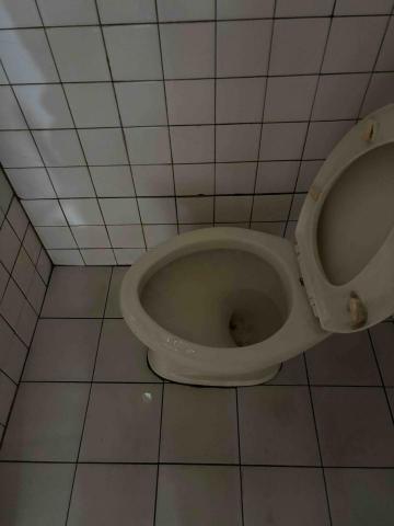 鳳凰居家清潔 - 