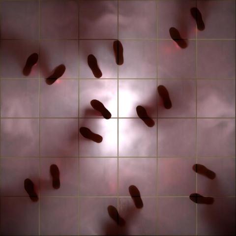 Jerry Lin - 作品劇照