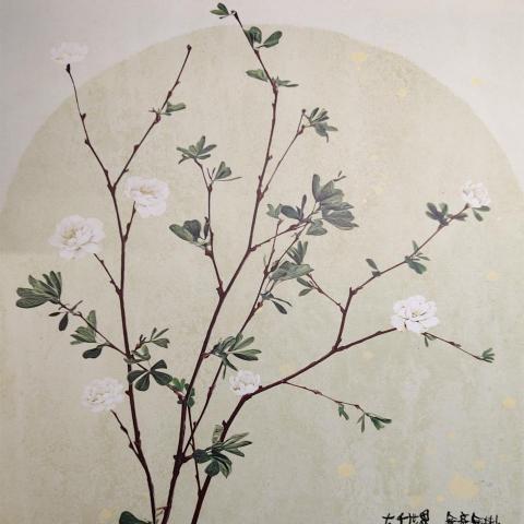 董于菁 董于菁