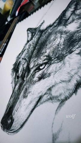 資深美術家教/繪師 佩均 - 精細素描 狼