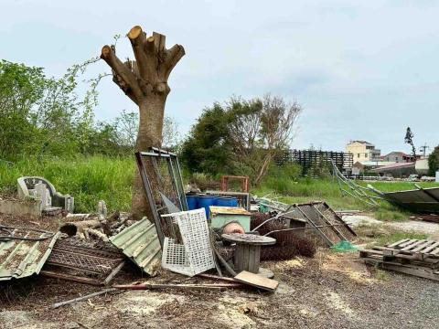 蔡承宏 - 雜木清理後