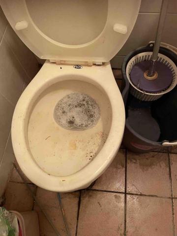 森亮坊 - 馬桶整理前