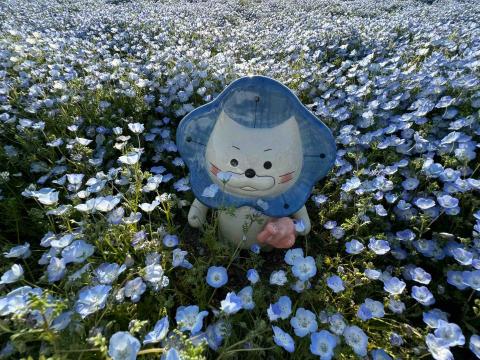 提供日本代購eve服務的專家🏯0917-0921🇯🇵大阪代購⛩️