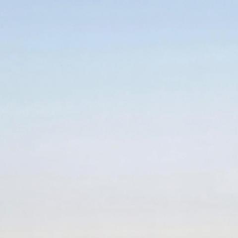 提供2024 cis服務的專家zoey wu