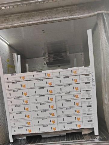 張廣勇 - 冷藏車水果配送