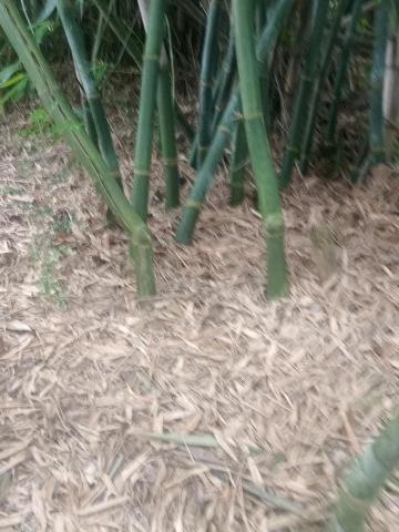 提供割草服務的專家私人空間