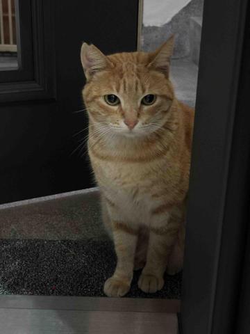 王喬喬 - 可愛妹妹