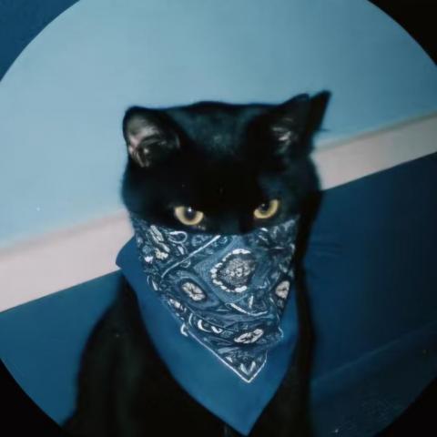 提供2026統測服務的專家許郁宣