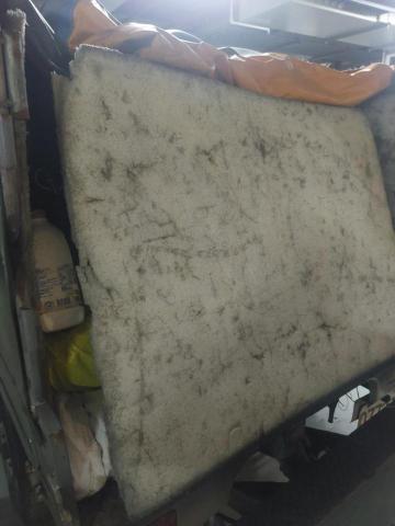 綠沐國際行銷策劃有限公司 - 