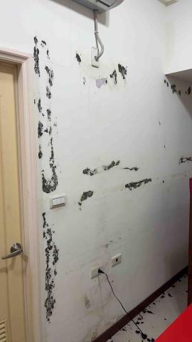 小袁軟裝設計 - 這間是琴房改造 原本的牆面都是吸音海綿的殘膠非常難處理