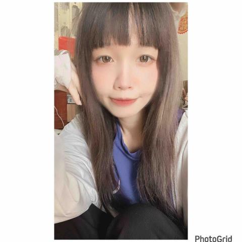 提供紙盒服務的專家洪苡錡