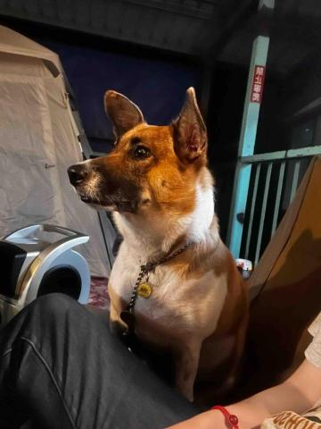 提供步驟服務的專家star6cola