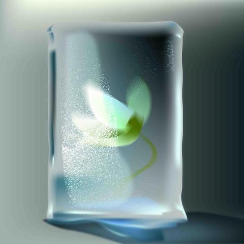 張雅琦 - 向量創作-冰