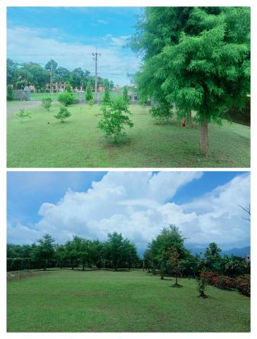 樊藝園藝 - 冬山農舍除草維護