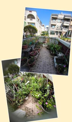 芯美清潔 - 陽台整理 上為整理後 下為整理前