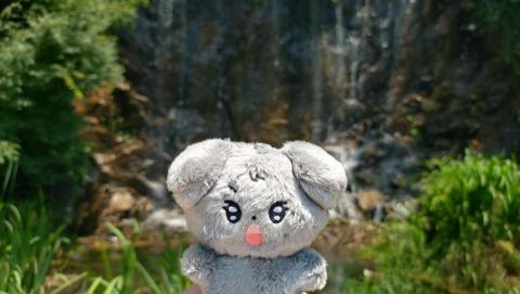 阿薰🌱克拉噗哩 | 韓語零基礎 | 追星生肉 | 韓國留學 - 