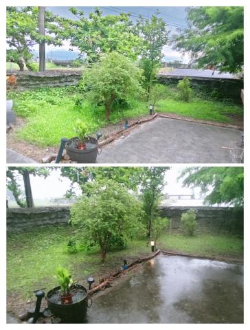樊藝園藝 - 民宿除草施工前後照