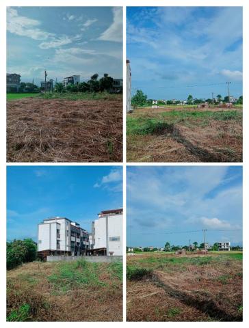 陳毅樊 - 芒草割除施工後