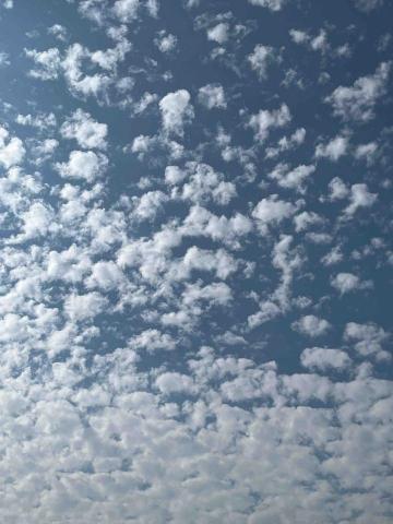 提供保姆服務的專家陳瑋威