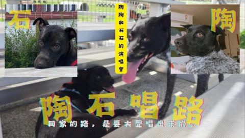 Tao Wei-Jyun - 策畫活動：花蓮縣返鄉青年演唱會