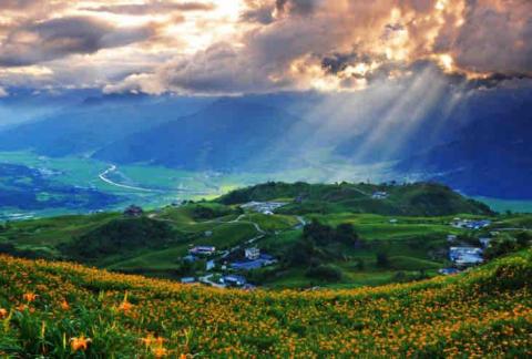 布魯斯包車旅遊 - 赤柯山金針花海