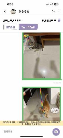 summer寵物保母 - Koromo and wasabi已經是我第三次服務他們了,記得第一次見面的時候一隻藏在床下一隻好不容易找到藏在被子裡面還對我哈氣,到現在雖然很久見一次但是他們永遠記得我的氣味。 summer寵物保母 - Koromo and wasabi已經是我第三次服務他們了,記得第一次見面的時候一隻藏在床下一隻好不容易找到藏在被子裡面還對我哈氣,到現在雖然很久見一次但是他們永遠記得我的氣味。