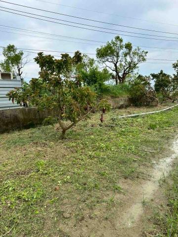 蔡承宏 - 割草後