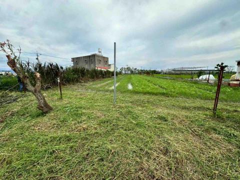 蔡承宏 - 割草後