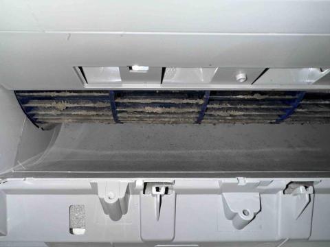 瑍靜氏洗淨 - 清洗前