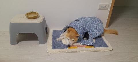 廖先生 - 好累喔