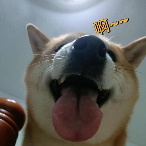 提供煮飯服務的專家梁小姐