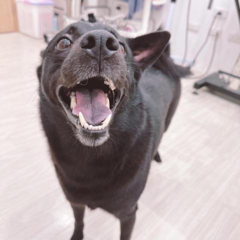 提供劉嘉雯服務的專家馬蕙雯