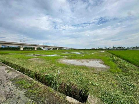 蔡承宏 - 田邊割草後