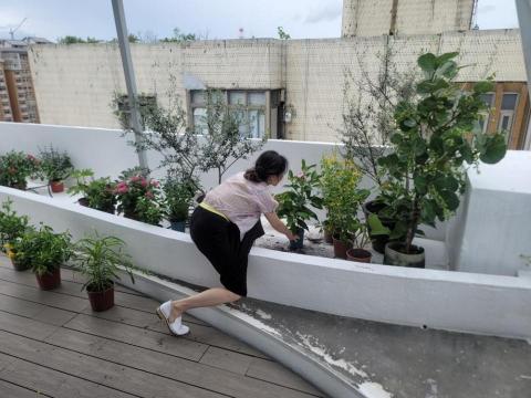 王俊凱 - 園藝規劃