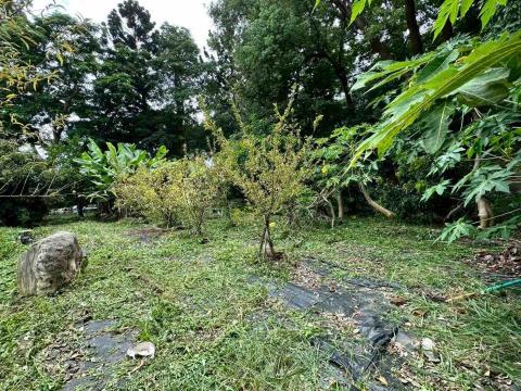 蔡承宏 - 台中除草後