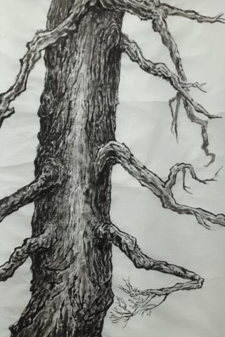 林裕珺（繪畫教學） - 