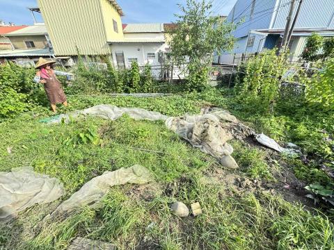 森光音樂 - 農地施工前