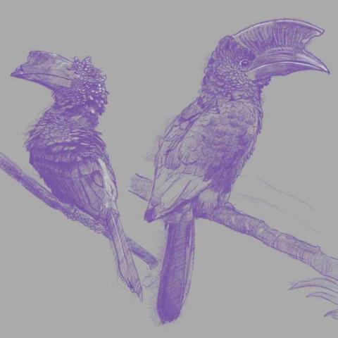 鍾馗-個人繪圖工作室 - 素描練習