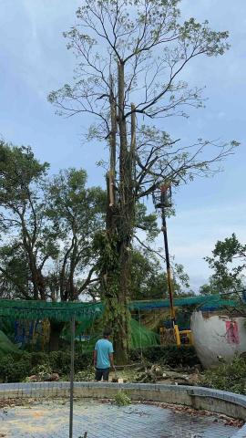 舜議土木包工業 - 左岸公園