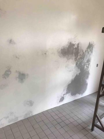 唯嘉企業 - 嚴重壁癌處理