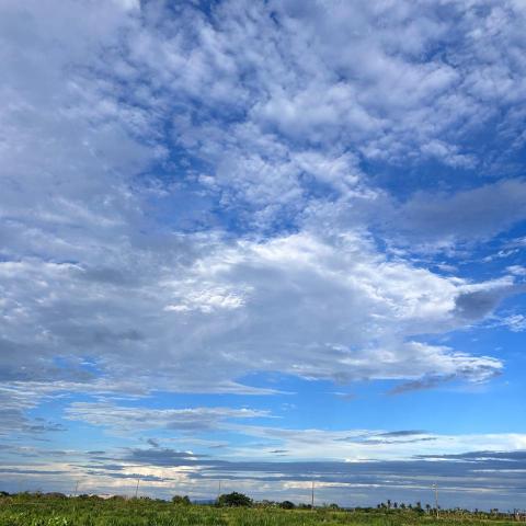 提供粗工服務的專家萬能工程