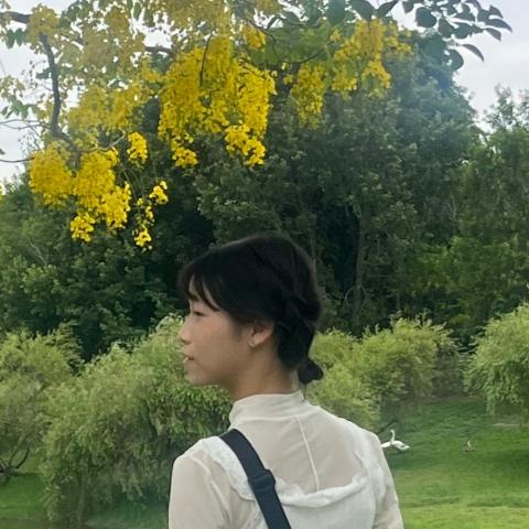 提供vtuber漫畫服務的專家采穎