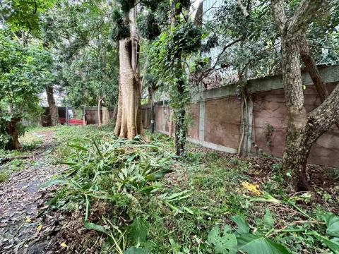 蔡承宏 - 台中除草後