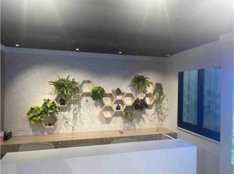 SO果研植所 - 辦公室、預售屋，家裡的小盆栽