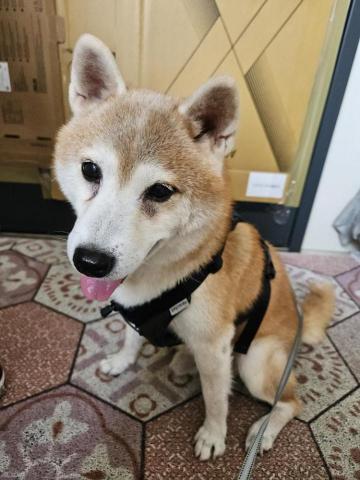 廖先生 - 出門散步