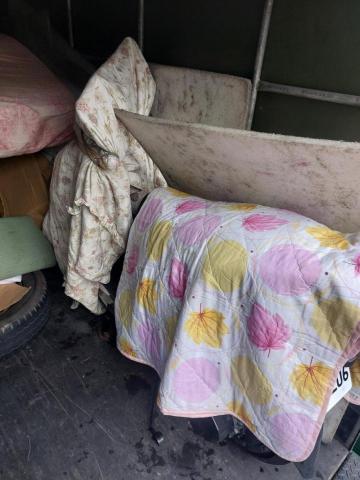 綠沐國際行銷策劃有限公司 - 